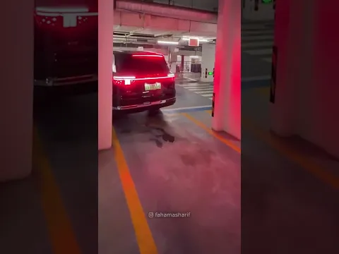 The Car Parked Itself Without Him