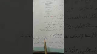 حل استماع في جعبتي حكاية للصف الخامس الفصل الأول عربي 