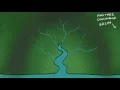 Drainage basin hydrological cycle