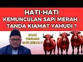 Download Lagu TERKUAK ‼️ BENARKAH TANDA KIAMAT BAGI Y4HUDI ADALAH KEMUNCULAN SAPI MERAH ⁉️ - GURU GEMBUL