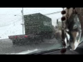 Congestion at Port Newark Container Terminal PNCT