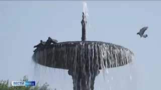 В Омске ожидается аномальная жара выше +33 градусов