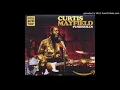 Curtis Mayfield - Pusherman (horns extended)