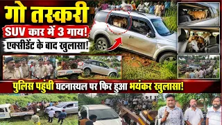 SUV कार में 3 गाय✓एक्सीडेंट के बाद हुआ गो तस्करी का खुलासा✓पुलिस पहुंची मौके पर✓फिर जो हुआ खुद देखें