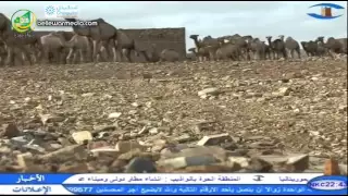 برنامج زمن الفتوة عن الاديب والفارس الكفية ولد بوسيف رحمه الله قناة شنقيط 