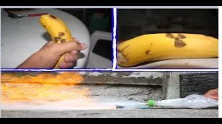 BANANA RADIOATIVA ??? PAPEL VIVO ???TOP show de experiências !!!