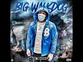 No. 9 - BigWalkDog