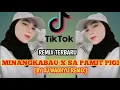 Download Lagu DJ MINANG KABAU X SA PAMIT PERGI!! BY DJ WAGHYU REMIX