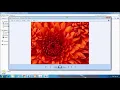 11 JAVA And MySQL Project NetBeans IDE Tutorial - How To Display Image Path On JTextField