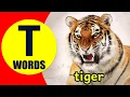Words Starting With T - Learn Words that Start with T Sound