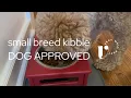 Review Blue Buffalo Senior Small Breed Dog Food Review - dog tested