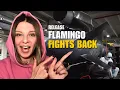 Download Lagu UKRAINE’S FLAMINGO MISSILES: STRIKING DEEP INTO RUSSIA Vlog 1143: War in Ukraine