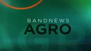 Mais um caso de gripe aviária no Brasil é confirmado | BandNews TV