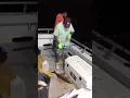 Sound Bound Fishing Absolute NIGHT TIME BEATDOWN