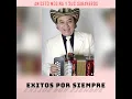 Aniceto Molina - El Diario De Un Borracho