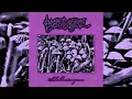 Download Lagu Fliegenpilz - Hallucinogens (Full Album) (Keller Synth)