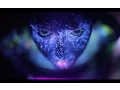 Download Lagu Shanti People  - Asato Maa Sad Gamaya feat.  Maoya (Official Video)