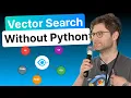 No Python No Problem Vector Database Applications with Milvus ONNX Across Languages