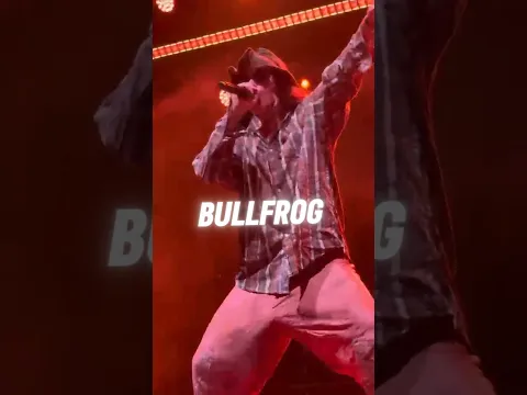POV: You're Front Row When Cotton Eye Joe Goes Froggin