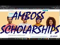 how to apply in amboss access scholarships -