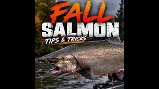 Fall Salmon Fishing Tips & Tricks (Podcast)