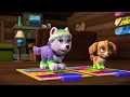 PAW Patrol Pup Pup Boogie