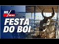 Lagu O Maior Evento Agropecuário do Nordeste - 1,5 Mil Bovinos, Shows e Muito Mais | Nordeste News