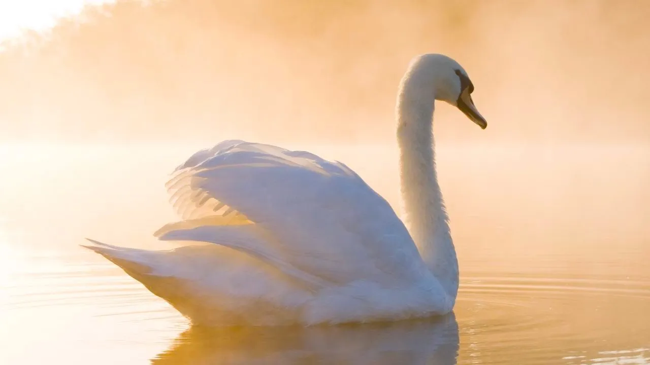 Beautiful Relaxing Hymns, Peaceful Instrumental Music, "Quiet Lake Morning Sunrise" Tim Janis Beautiful Relaxing Hymns, Peaceful Instrumental Music, "Quiet Lake Morning Sunrise" Tim Janis