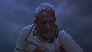 The Old Man And The Sea Battle With The Fish 