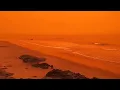 WTF Moments Captured By Surfline Cams