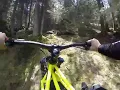 Vector Vortex RAW serie Forest