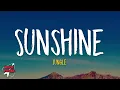 Jungle - Sunshine (Lyrics)