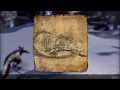 ESO Bleakrock Isle COMPLETE Treasure Map Locations Guide