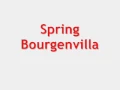 Download Lagu Spring - Bourgenvilla Original