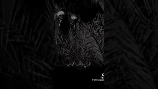 شايف نفسك وصلت لايه واحيد والدنيا ضحكه عليه احمد شيبه 