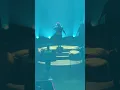 Left it in the river - Jamie MacDonald (live baltimore-april 18,26)