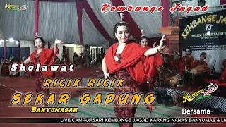 Download Sholawat Ricik Ricik Sekar gadung Calung Lengger banyumasan Kembange jagad cilacap MP3