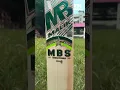 Lagu Introduce to Malik MBS Players Edition Cricket Bat - Teammate