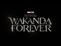 Tems - No Woman No Cry (From "Black Panther: Wakanda Forever Prologue")