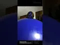 More Blueberry Highlights