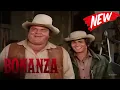 Download Lagu New Bonanza 2025 | The Stillness Within | Collection of best episodes #1080p