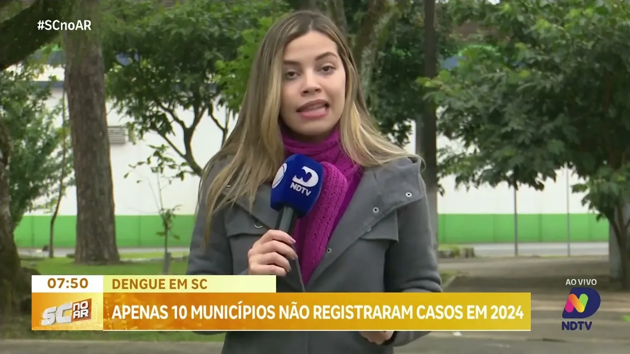 Dengue em Santa Catarina: apenas 10 cidades não registraram casos este ano