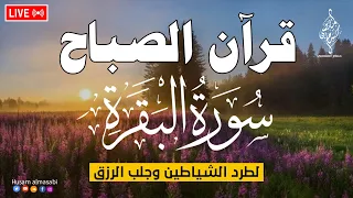 قرآن الصباح سورة البقره    قران كريم بصوت جميل لحفظ وتحصين المنزل                                دندنها
