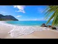 Download Lagu 🏝 Turquoise Ocean off Seychelles Island. Ocean waves 4K Ultra HD