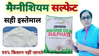 Magnesium sulfate fertilizer  | magnesium sulfate uses | magnesium + sulphur | benefits | dose