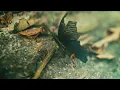 雷同二友《心之所向》Where The Heart Leads MV Teaser
