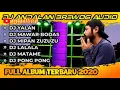 Download Lagu Lagu dj ful album brewog audio terbaru 2020