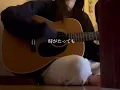 【弾き語り】金木犀の夜/きのこ帝国　cover