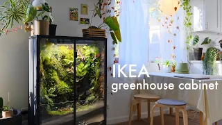IKEA greenhouse cabinet growth update and tour