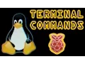 Linux Terminal Commands on the Raspberry Pi